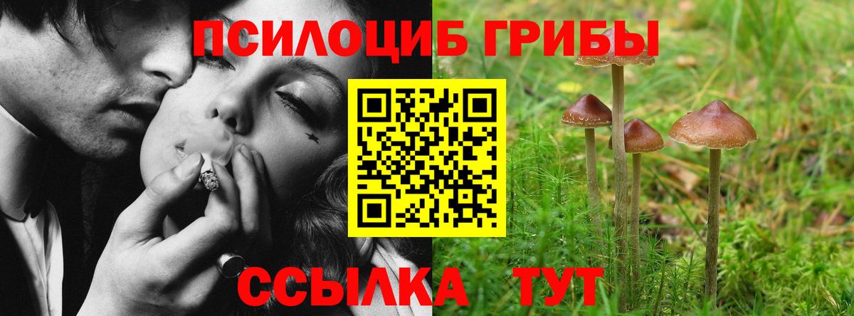 Краснознаменск  Галлюциногенные грибы Psilocybine cubensis  купить закладку  Вход с VPN 